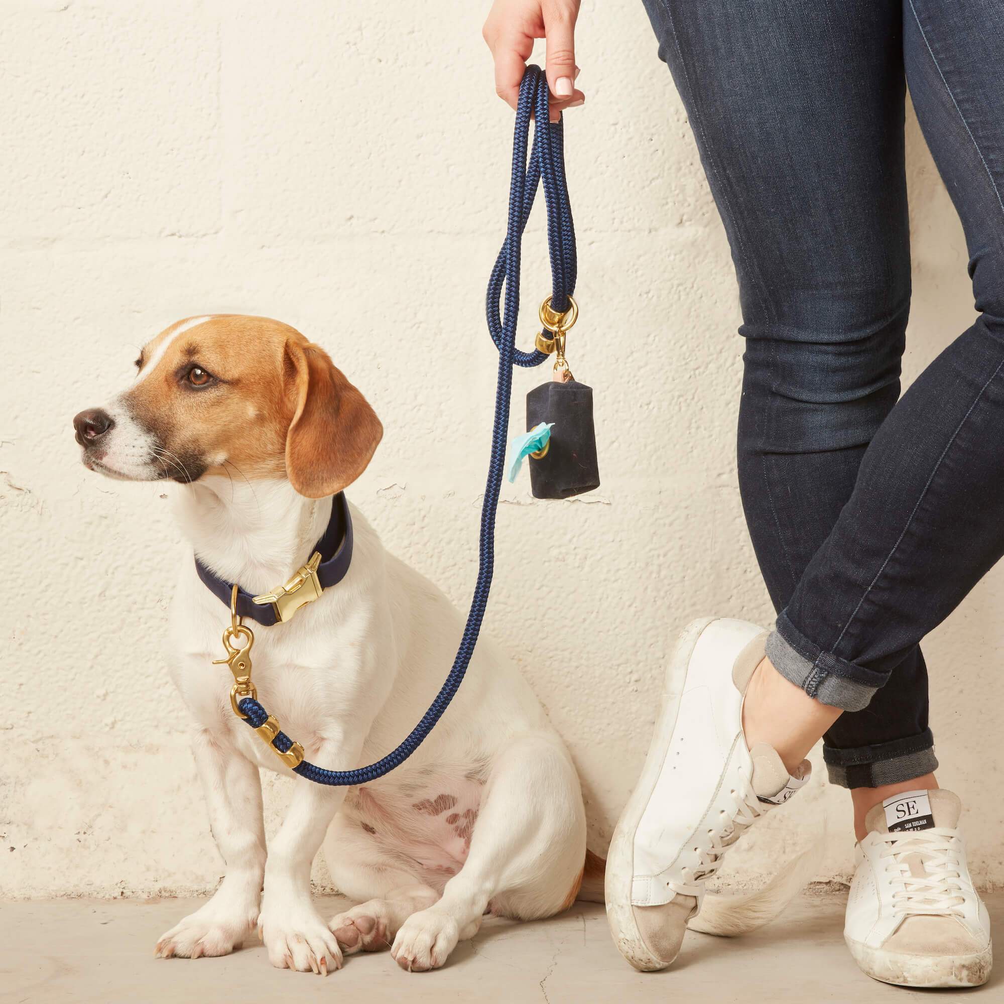Foggy dog leash top
